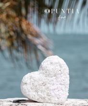 Cargar imagen en el visor de la galería, Piñatas Mexicanas Personalizadas