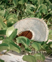 Cargar imagen en el visor de la galería, Abanico con mango de madera largo
