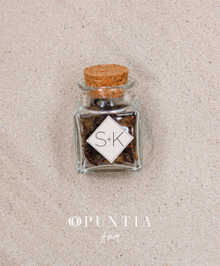 Kit Sabor a México