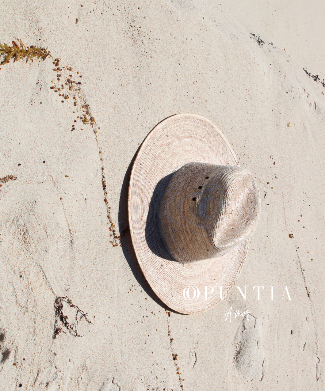 Sombreros de Palma Grande